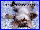 Aspies love cats
